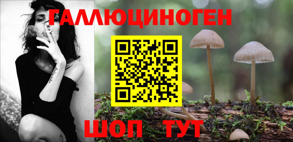 Галлюциногенные грибы Psilocybe  Вход с VPN  Псилоцибиновые грибы Magic Shrooms  Похвистнево 