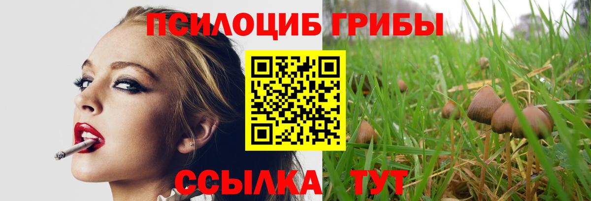 Галлюциногенные грибы GOLDEN TEACHER Похвистнево
